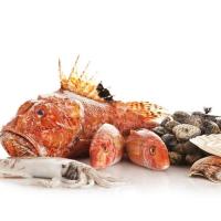 Cacciuccata - Cena da Eataly Firenze