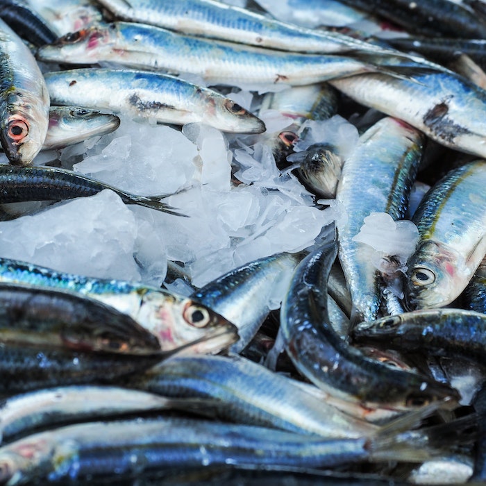 LE MERAVIGLIE DEL PESCE: UN'ORA IN PESCHERIA