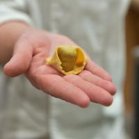 La pasta fresca regionale | I plin