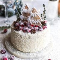 TORTA DI NATALE!