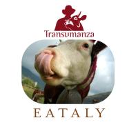 LA TRANSUMANZA A PONT CANAVESE: DALL'ERBA DEGLI ALPEGGI AL FORMAGGIO NOSTRANO