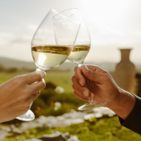I VINI DELLA CAMPANIA