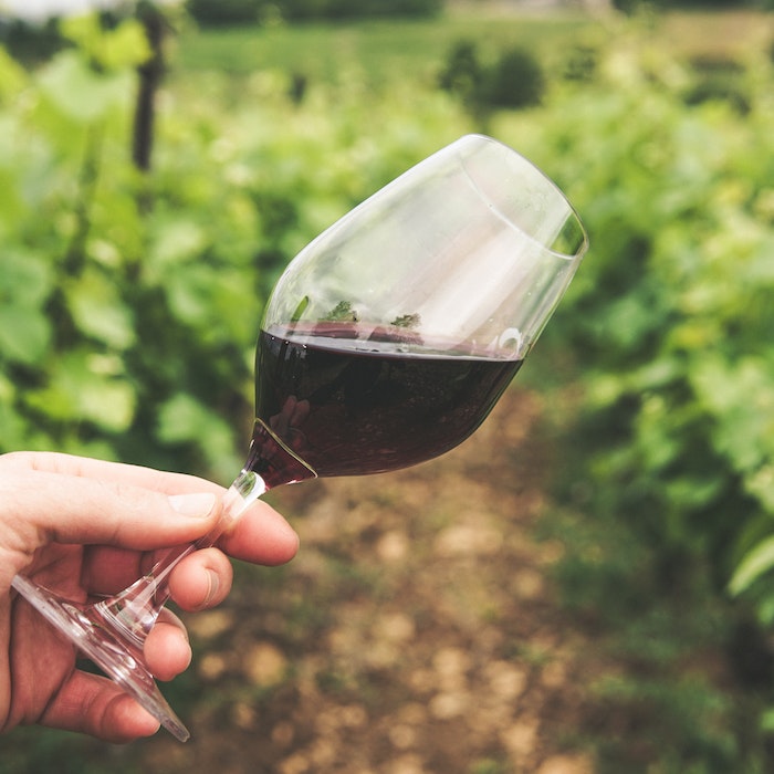 Imparare a degustare il vino | le basi