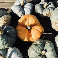 UN MENU COMPLETO CON LA ZUCCA